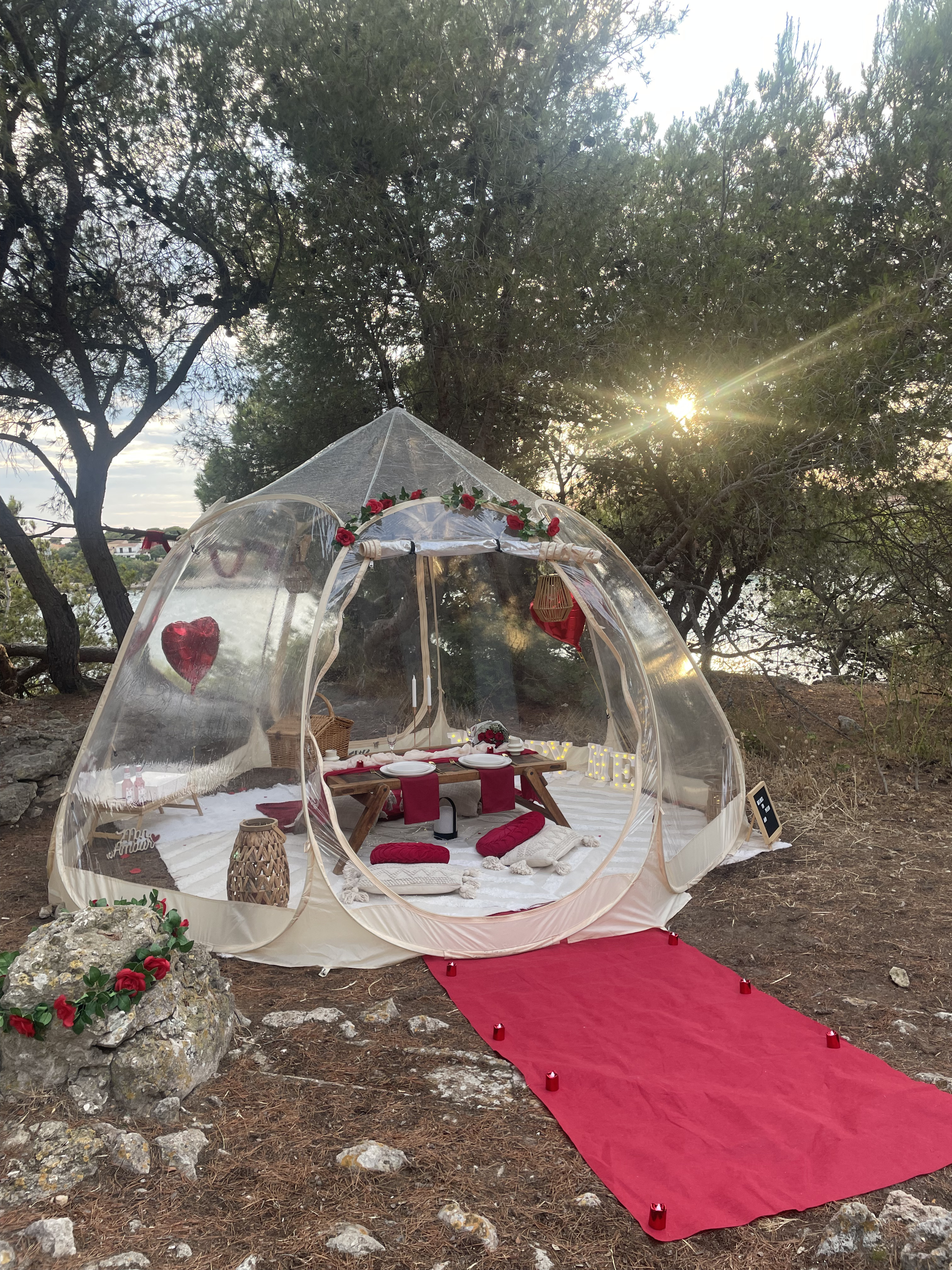 Demande en mariage pique-nique Marseille Côte Bleue