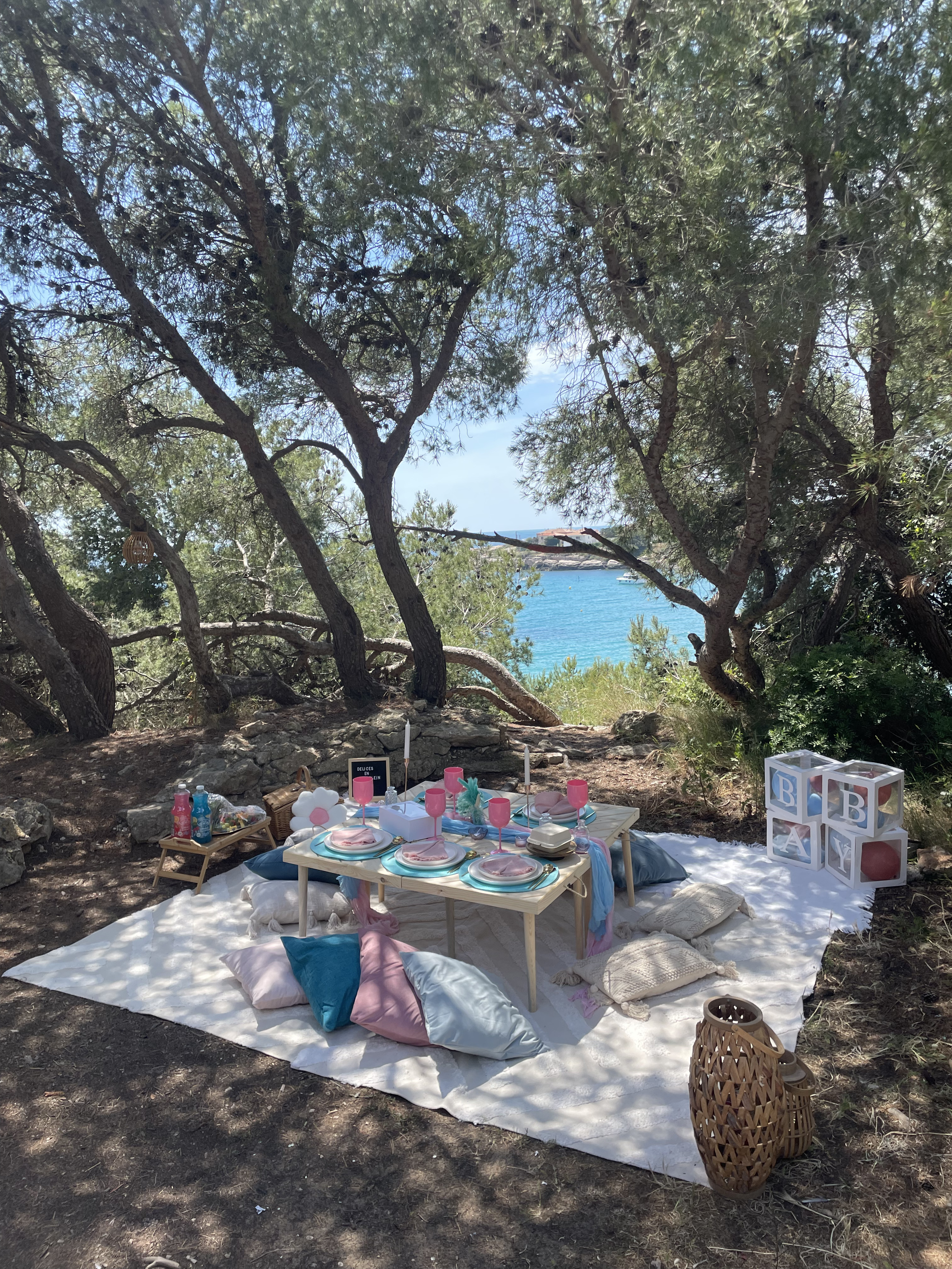 Gender reveal pique-nique en plein air