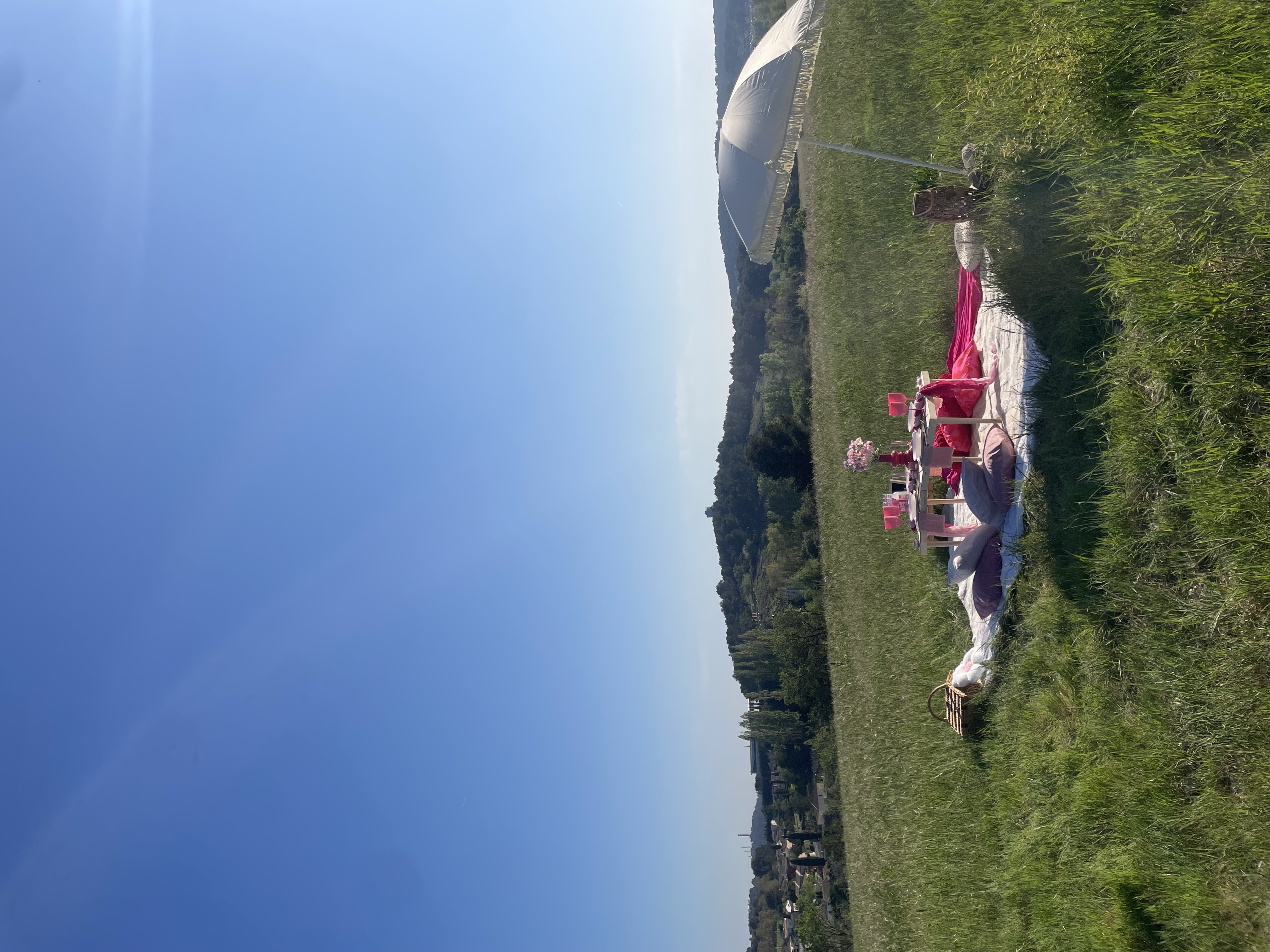 Pique-nique girly rose